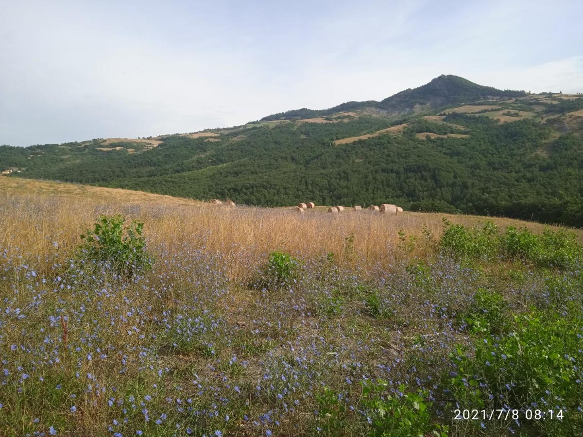 Due Principi E Una Fata 塞斯托拉 外观 照片